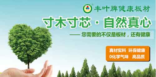 豐葉板材品牌，釋放健康新力量