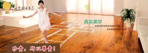 綠色健康守護者：“安信清醛360”實(shí)木多層地板