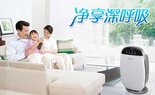 2016年Q1空氣凈化器十大品牌銷(xiāo)售量數據榜