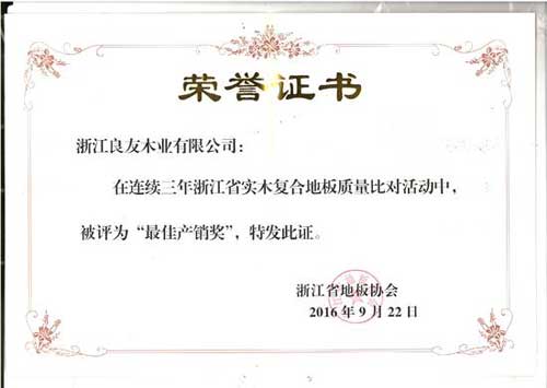 大藝樹(shù)地板同時(shí)榮獲省地板協(xié)會(huì )頒發(fā)的兩項大獎