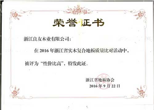 大藝樹(shù)地板同時(shí)榮獲省地板協(xié)會(huì )頒發(fā)的兩項大獎