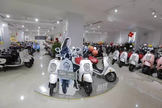 分析：2016年是中國電動(dòng)車(chē)行業(yè)的分水嶺