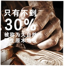 大自然地板22年功勛野生原木震撼亮相！