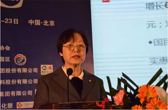 中國涂料工業(yè)協(xié)會(huì )會(huì )長(cháng)孫蓮英女士作主題報告