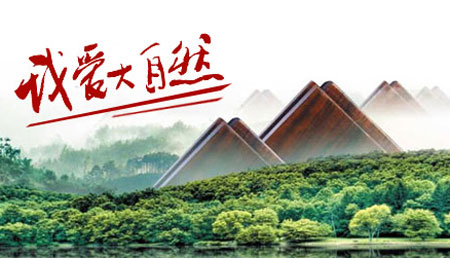 2017-2018年中國十大實(shí)木地板品牌排行榜
