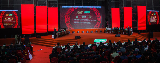 全體三棵樹(shù)人的文化盛宴，三棵樹(shù)年會(huì )隆重召開(kāi)！