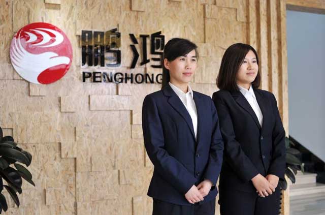 鵬鴻實(shí)力再獲肯定，蟬聯(lián)木業(yè)網(wǎng)2017年度“生態(tài)板十大品牌”
