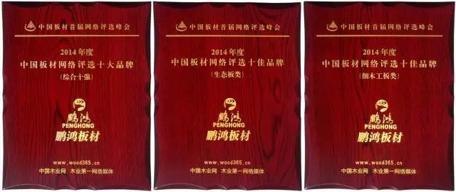 鵬鴻實(shí)力再獲肯定，蟬聯(lián)木業(yè)網(wǎng)2017年度“生態(tài)板十大品牌”
