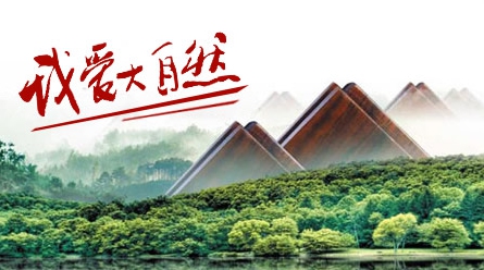 最好的地暖地板品牌，最新的地暖地板十大品牌排名