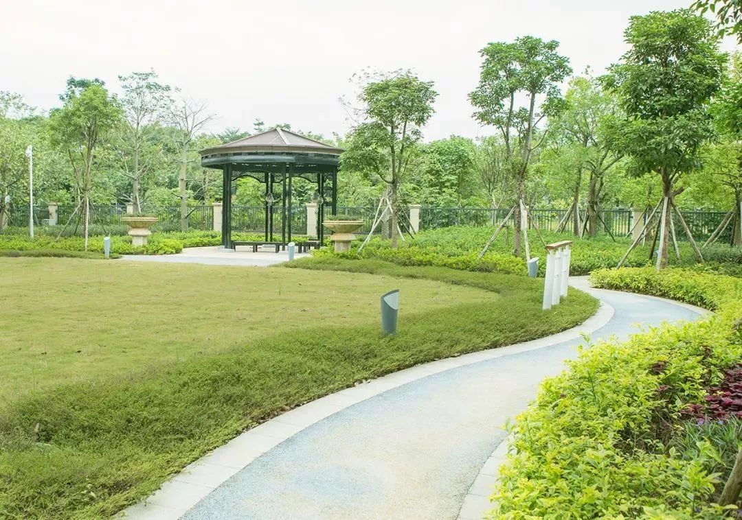 榮耀安防頒獎典禮，羅格朗斬獲“2017年度智慧城市建設貢獻獎”