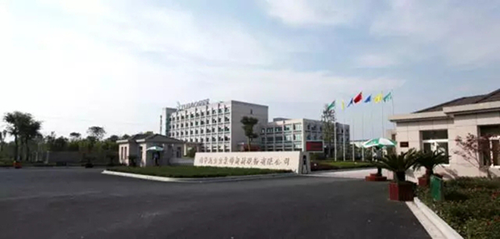 走進兔寶寶，了解“品字標”企業如何為高品質實力代言