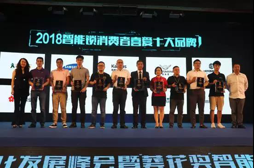 品牌榮譽(yù)|羅曼斯智能鎖斬獲行業(yè)“奧斯卡”兩項大獎！