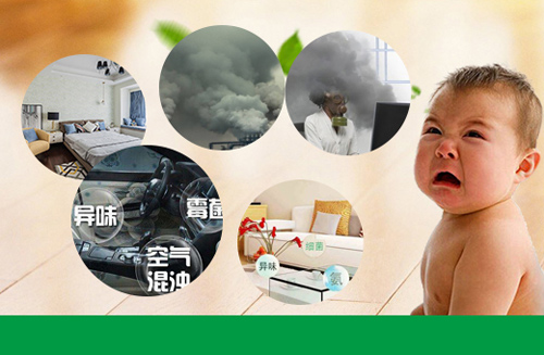 室內污染真的這么可怕!讓涂蘭朵來(lái)拯救你!