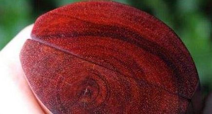紅木家具中的小葉紫檀大葉紫檀，一字之差，二者有何不同？