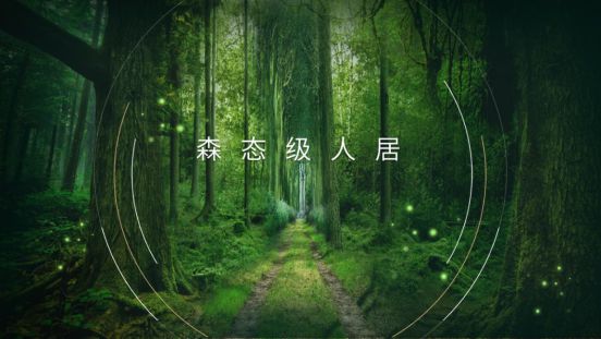華洲木業新品——維他康氧板應“疫”來襲，打造森態生活