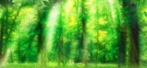 品牌產品|雪寶森林有氧板，有效釋放負氧離子長達15年