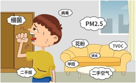 豐葉板材再創新高峰，榮獲“中國十大品牌”稱號