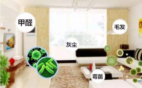 德國精工·諾森柏格是一個(gè)專(zhuān)注、專(zhuān)業(yè)的家用空氣凈化器品牌