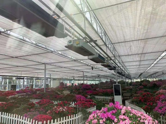 岳西大觀(guān)園12000㎡花卉大棚采用格美粵空氣源熱泵，三年無(wú)故障運行