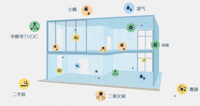 家里空氣凈化器效果越來越差？圣德芬覺得你方法不對！