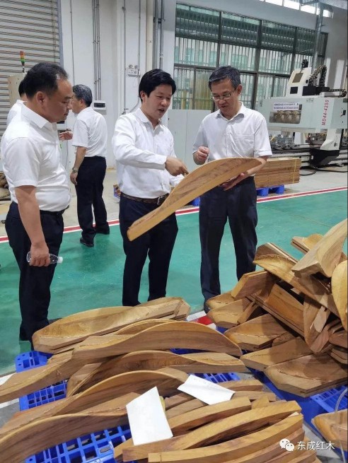 廣東省林業(yè)廳領(lǐng)導到五華紅木產(chǎn)業(yè)園進(jìn)行參觀(guān)考察