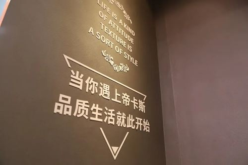 【2020廣州建博會(huì )】帝卡斯藝術(shù)漆獨領(lǐng)風(fēng)騷 展館人氣爆棚！