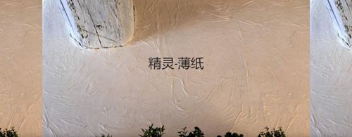 森尼迪克藝術(shù)涂料攜帶150年的浪漫品牌，來(lái)到中國誠招加盟