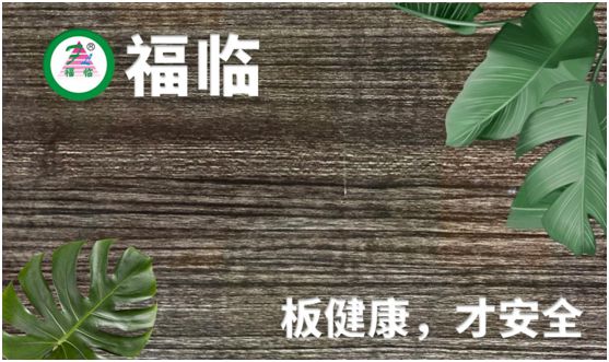福臨板材：專注健康綠色家裝，造就生活不凡品味