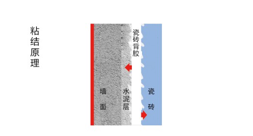 瓷磚背膠粘與不粘，不能作為產品好壞及產品質量的依據