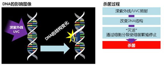 消費者開(kāi)始關(guān)注到車(chē)載空氣凈化器，原來(lái)如此重要