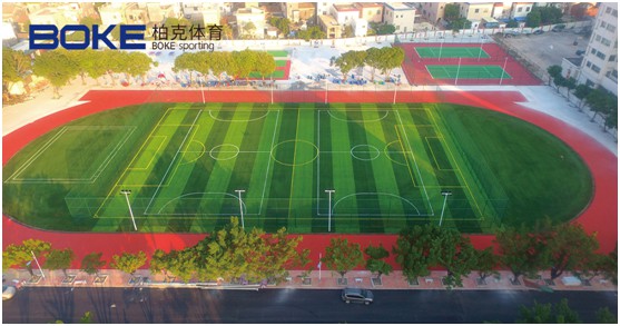 柏克體育：照亮運動(dòng)之美，智造未來(lái)之光