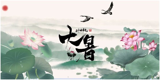 【大暑】將軍板材：炎炎夏日，一份家居清涼指南請查收